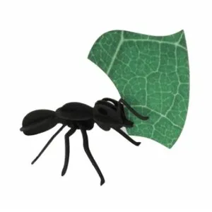 Rompecabezas 3D Entomology Puzzle - Paper Leafcutter Ants - ASSEMBLI