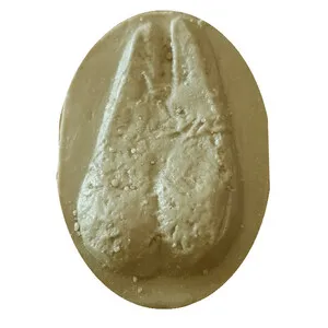 Molde Huella Capra Pyrenaica (Cabra Montés, Herc, Hirco, Baskauntz Piriniarra) - MUSKARI RASTROS