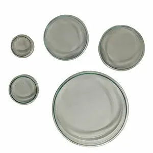 Capsula de Petri de 200 mm de Diametro - T3Q