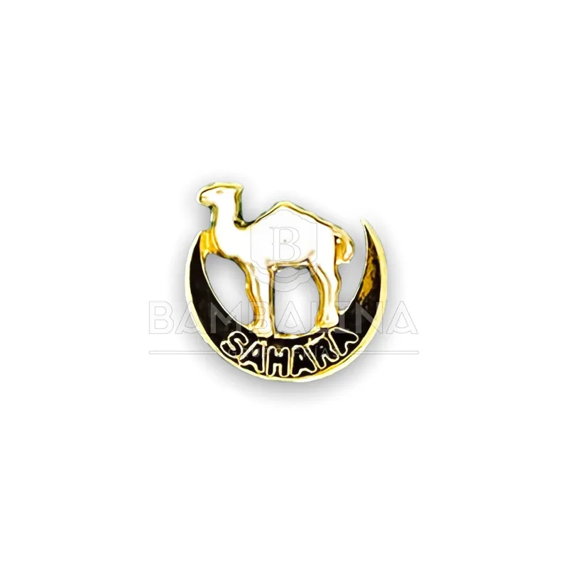 Pin Sáhara
