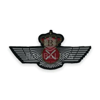 Roquisqui Piloto