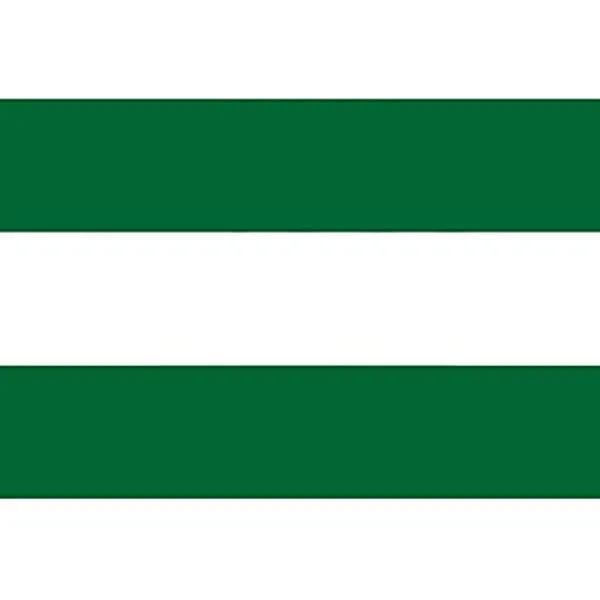 Andalucía sin Escudo 150×100