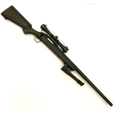 VSR-10 with Bipod and Scope