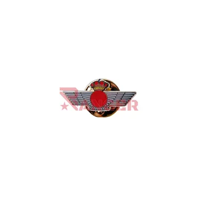 Pin Roquisqui Circulo - Foraventure