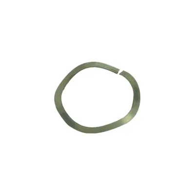MA-196 Wave Spring - ICS
