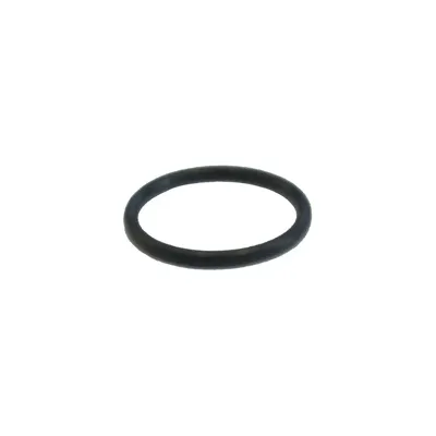 AF-76 O-Ring - ICS