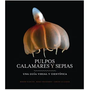 Pulpos, Calamares y Sepias. una Guía Visual y Científica - Omega