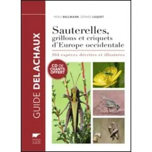 Sauterelles, Grillons et Criquets D'europe Occidentale - Delachaux et Niestlé
