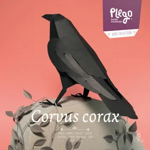 Plegopaper- Figura Recortable de Cuervo (Corb)