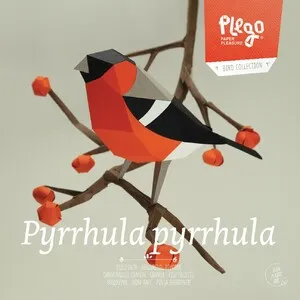 Plegopaper- Figura Recortable de Camachuelo Común (Pinsà Borroner)