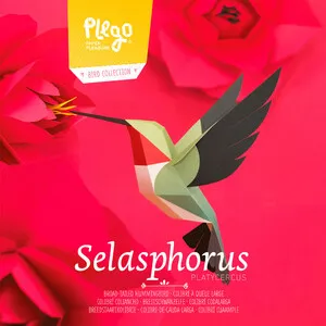 Plegopaper- Figura Recortable de Colibrí
