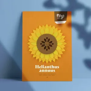 Plego Pop Up Helianthus Annuus (Girasol) - PLEGOPAPER