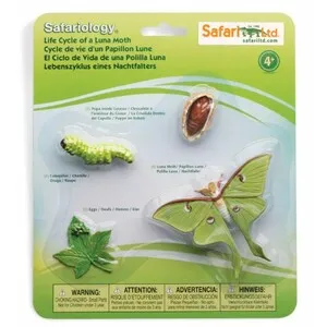 Figuras Ciclo de la Vida- Polilla Luna - SAFARI LTD