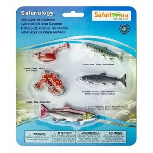 Figuras Ciclo de la Vida el Salmón - SAFARI LTD