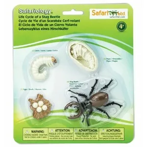 Figuras Ciclo de la Vida - Ciervo Volador - SAFARI LTD