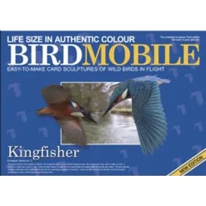Recortable de Martín Pescador - BIRDMOBILE