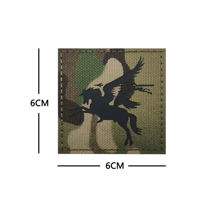 Pegasus SAS - (11045) · Multicam