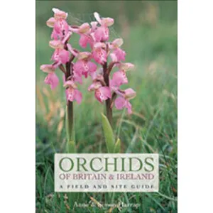 Orchids of Britain and Ireland. a Field and Site Guide - Christopher Helm