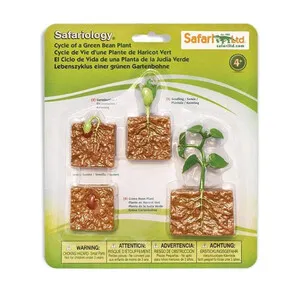Figuras Ciclo de la Vida - Judia - SAFARI LTD