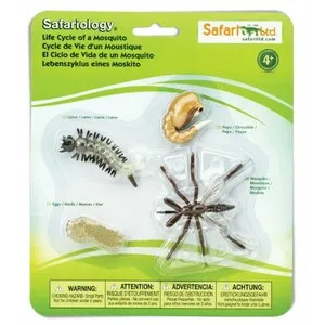 Figuras Ciclo de la Vida - Mosquito - SAFARI LTD