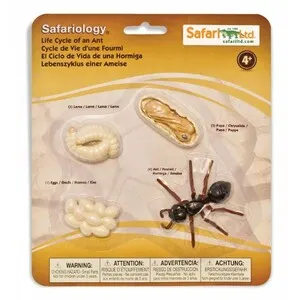 Figuras Ciclo de la Vida - Hormiga - SAFARI LTD