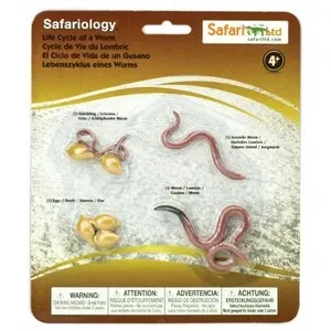 Figuras Ciclo de la Vida - Lombriz - SAFARI LTD