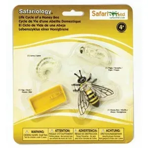 Figuras Ciclo de la Vida - Abeja - SAFARI LTD