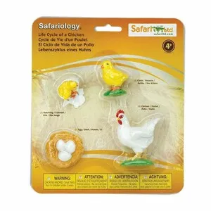 Figuras Ciclo de la Vida - Gallina - SAFARI LTD
