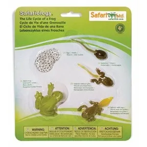 Figuras Ciclo de la Vida - Rana - SAFARI LTD