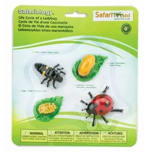 Figuras Ciclo de la Vida - Mariquita - SAFARI LTD