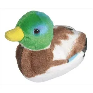 Peluche de Ánade REAL con Canto - WILD REPUBLIC