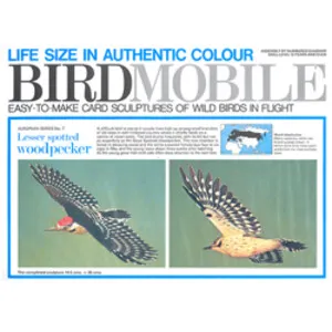 BIRDMOBILE Pico Menor