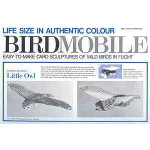 BIRDMOBILE Recortable de Mochuelo