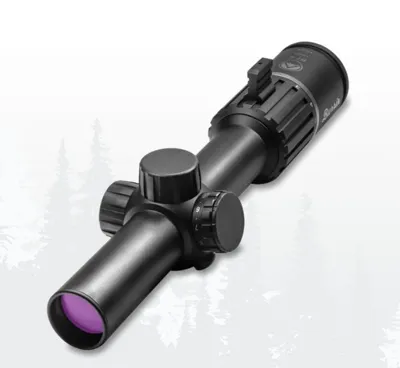 RT-6 1-6x24 Ri RET4 BURVIS152903 - BURRIS