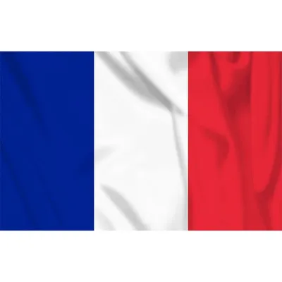 Bandera de Francia 100 X 150 cm - Fosco Industries
