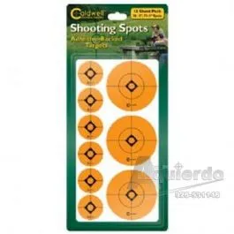 Dianas Florecente 2" (12 Unid)