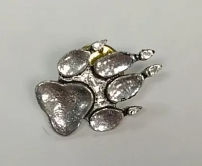 Pin Huella - SMARCI