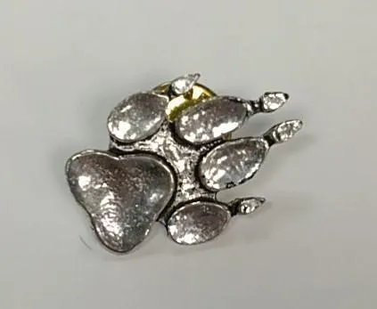 SMARCI Pin Huella