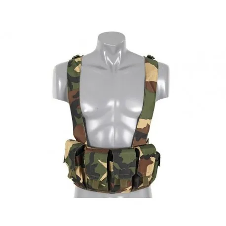 Chest Rigg