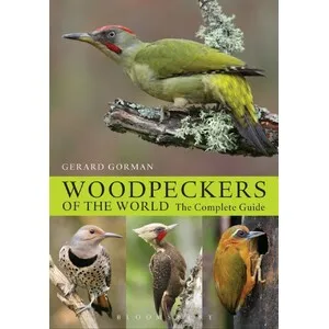 Helm Photographic Guides. Woodpeckers of the World - Bloomsbury Publishing