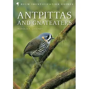 Helm Identification Guides. Antpittas and Gnateaters - Bloomsbury Publishing