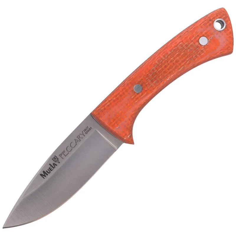 Muela Cuchillo Peccary 8.O