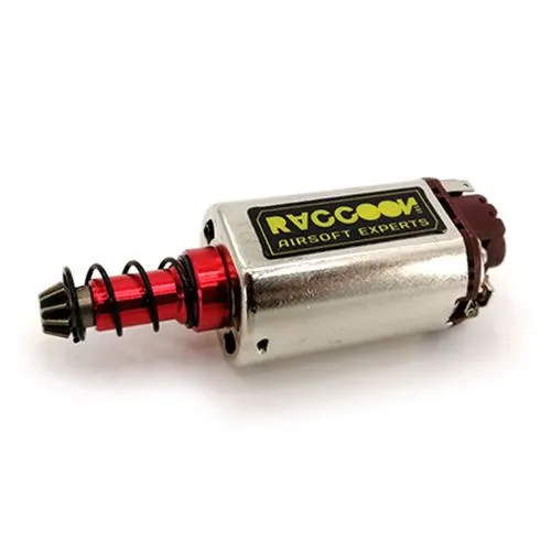 Motor Standard