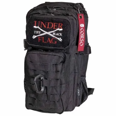 Rogue MOLLE Backpack with Carabiner 14L - Corso