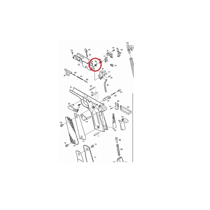 Molla Cane M1911 (N.35)