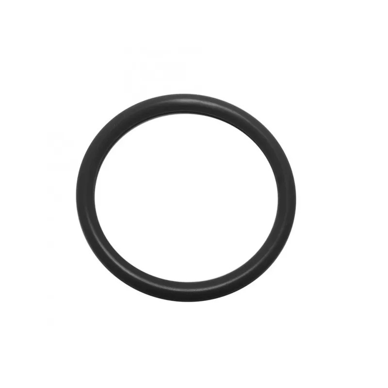 Mag O-Ring per AAP01