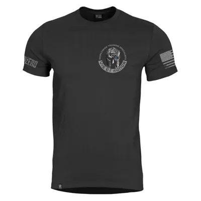 Ageron Vis et Honor - Pentagon