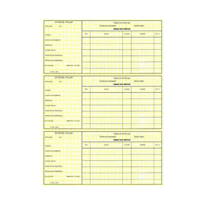 Tarjeta Registro de Armas (Hoja Completa 3 Unidades) - OEM