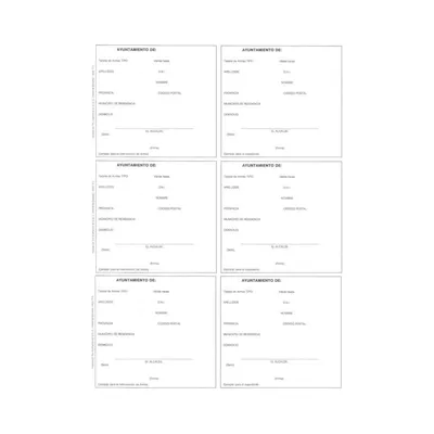 Tarjeta Registro de Armas (Hoja Completa 3 Unidades) - OEM