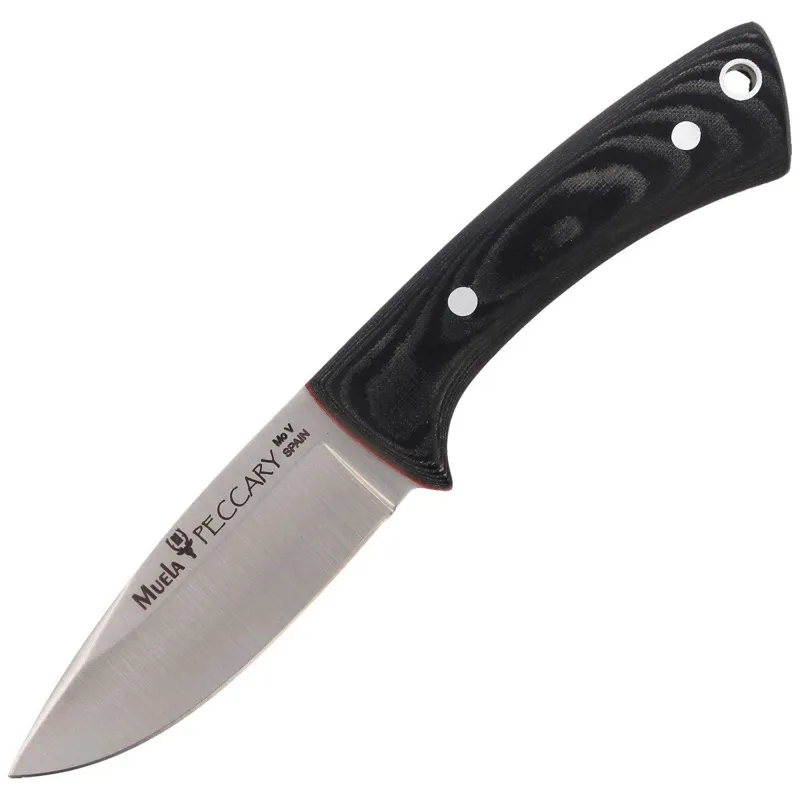 Muela Cuchillo Peccary 8m